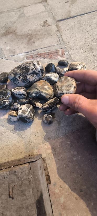 pul qab: Cay dawlari istediyniz cure buyurun sifariw ede bilersiniz — 7