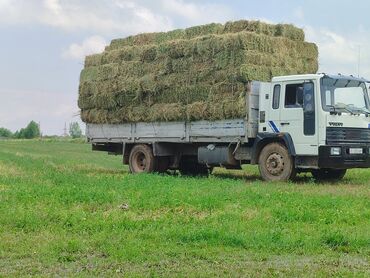 реле на мерс: Mercedes-Benz : 1991 г., 5.5 л, Механика, Дизель, Бус
