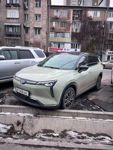 BYD: Weltmeister W6, 2021 г., Передний, На заказ