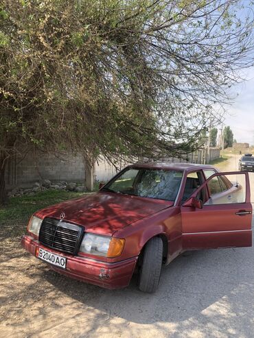 Mercedes-Benz: Mercedes-Benz W124: 1993 г., 3 л, Механика, Бензин, Седан