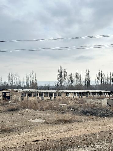 Продажа сельхоз предприятий: Кошара, 100 соток, Электричество, Холодная вода — 7