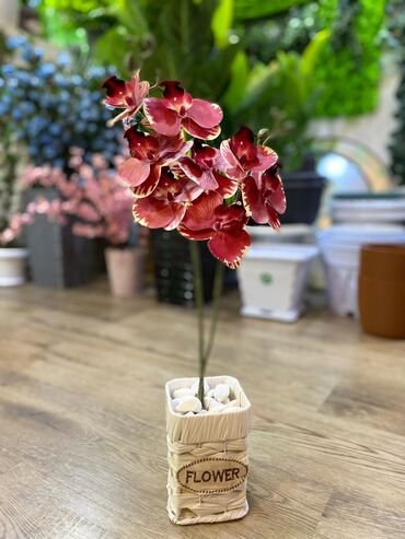 Ağaclar: Depodan bir basa satis 70azn baslayan dekarativ suni agaclar topdan — 15