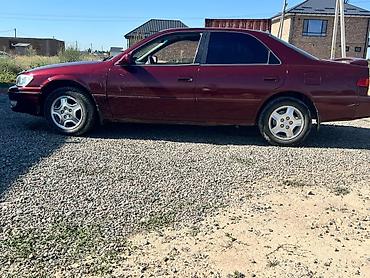 d 4d: Toyota Camry: 2000 г., 2.2 л, Автомат, Бензин, Седан — 2