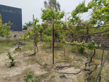Bağ evlərinin satışı: Digah, 144 kv. m, 4 otaqlı, Hovuzsuz, Kombi, Qaz, İşıq — 4