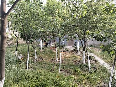 neftçala ev: Sumqayıt, 5000 kv. m, 8 otaq, Hovuzsuz, İnternet, Telefon, Qaz — 4