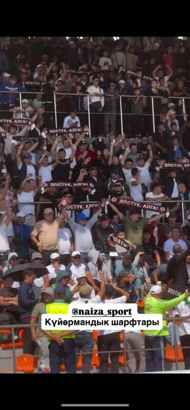 Шарфы, палантины: Изготавливаем на заказ Шарфы для фанатов, съездов политических партий — 14