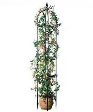 seme dipladenije: LIVARNO Home Garden Obelisk – dekorativna metalna potpora za penjačice — 8