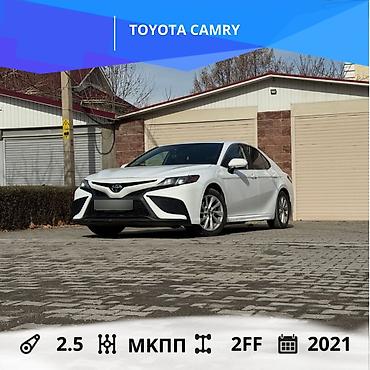 Toyota: Toyota Camry: 2021 г., 2.5 л, Автомат, Бензин, Седан — 1