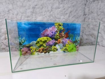 Akvarium-şkaf, Boş, 30 l, Ödənişli çatdırılma