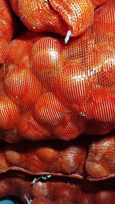 Лук: Лук Оптом, Бесплатная доставка — 7