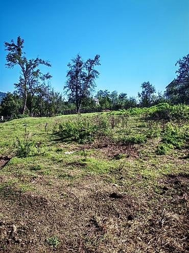 Torpaq sahələrinin satışı: Kənd təsərrüfatı — 7