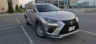 Lexus: Lexus NX: 2019 г., 2 л, Автомат, Бензин, Кроссовер — 9