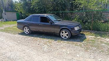 e klass: Mercedes-Benz W124: 1995 г., 2.5 л, Механика, Дизель, Седан — 4