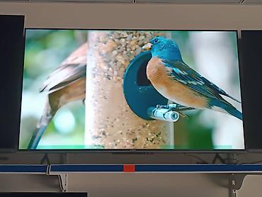 Телевизоры: Телевизоры в рассрочку Бренды и диагонали: - LG, Samsung, TCL, Yasin — 1