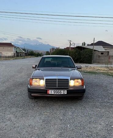 лексуз 250: Mercedes-Benz 250: 1989 г., 2.5 л, Механика, Дизель, Седан