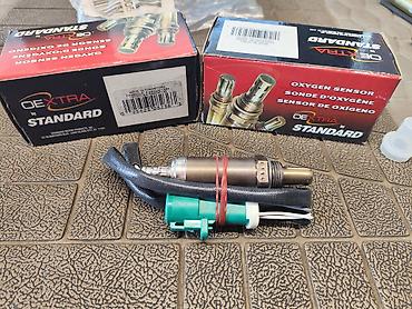 Лямбда зонды: Лямбда зонд 2024 г., Новый, Оригинал, США — 18