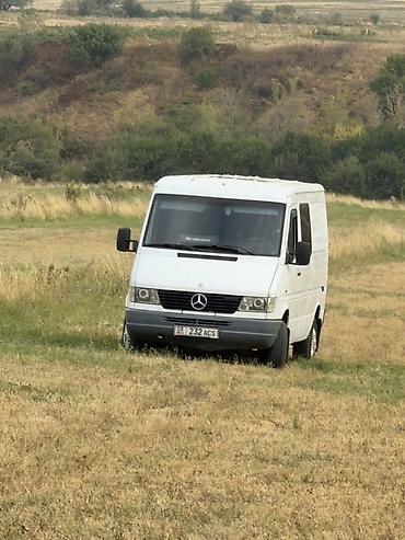 Mercedes-Benz Спринтер: 1995 г., 2.9 л, Механика, Дизель, Фургон