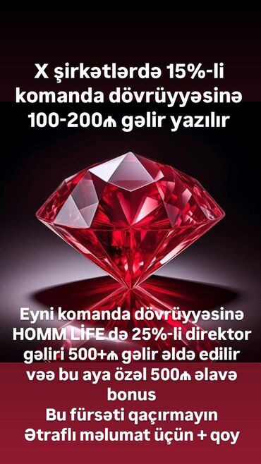 LDV: HOMM LIFE komandası üçün gəlir imkanları: - Eyni komanda