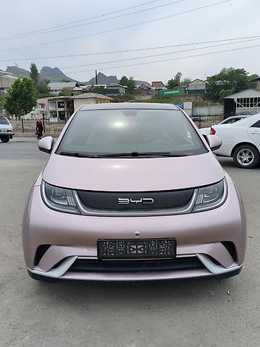BYD: BYD Dolphin: 2022 г., Электромобиль, Хэтчбэк — 1