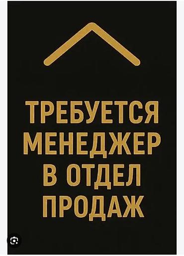 Требуется Менеджер по продажам, График: Шестидневка, Полный рабочий день, % от продаж