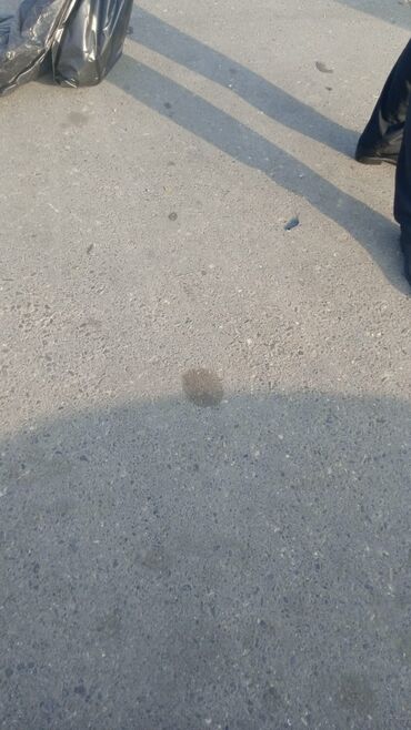 Opel: Opel Vectra: 1.6 l | 1998 il 350000 km Sedan — 9