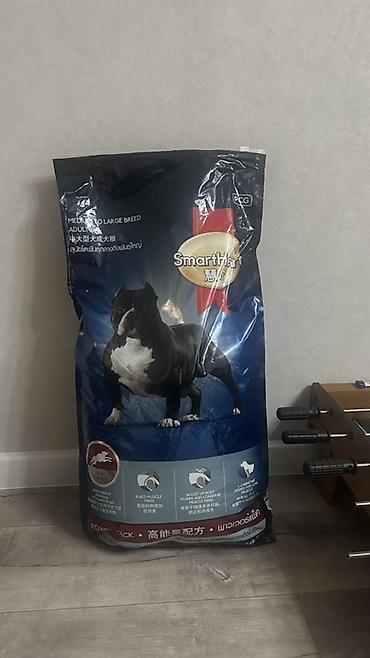 Үй жаныбарлары: SmartHeart Adult Medium to Large Breed – сухой корм для взрослых собак — 1