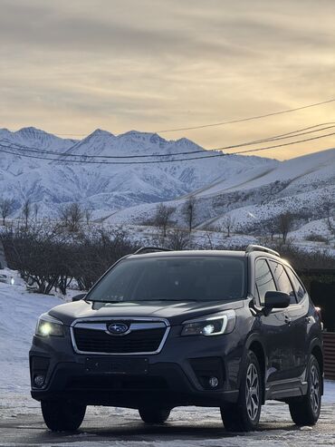 Subaru: Subaru Forester: 2021 г., 2.5 л, Вариатор, Бензин, Внедорожник