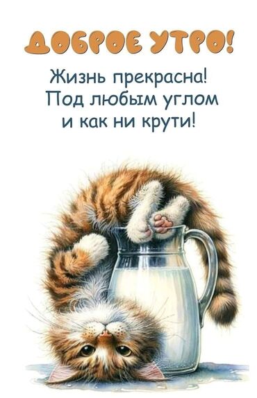 Другие специальности: Ищем людей на подработку! 🔹 Заработок от 1000 до 3000 сом в день 🔹