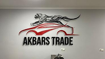 Оңдоп-түзөө жана курулуш: Аэрография, Көркөм сүрөт, Барельеф 6 жылдан ашык тажрыйба — 9