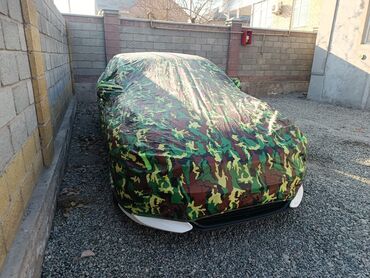 Kia: Kia K5: 2020 г., 2 л, Автомат, Газ, Седан — 40