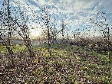 ev alqi satqisi 2018 sumqayit: Ахсу, 4500 м², 3 комнаты, Без бассейна, Комби, Артезианский колодец, Канализация — 3