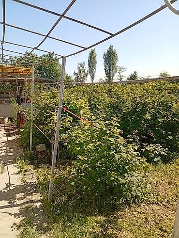 Продажа коттеджей и домов: Продаю дом совхоз ада тоо, участок 11соток, дом 4 к, кух, баня, гараж — 13