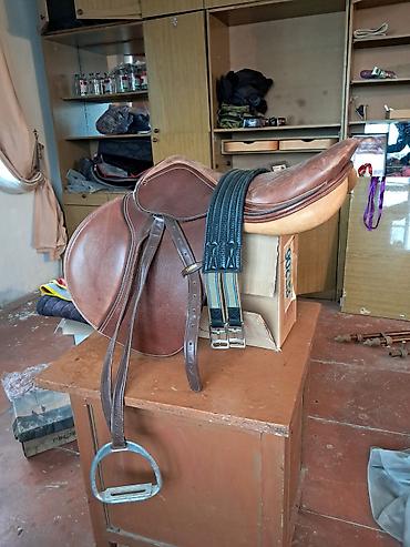 бекер мышыктар: Село продаю скаковое состояние хорошее итальянское покупали новое с — 6