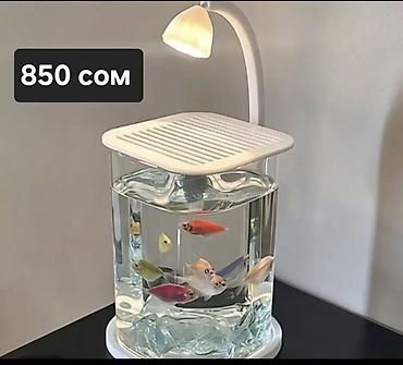 Аквариумы: Аквариумы и емкости для содержания черепах/мелких водных питомцев. 1) — 8