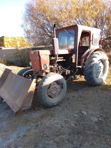 купить передок на мтз 82: Трактор с фронтальным отвалом (лопатой) для сельхоз- и коммунальных