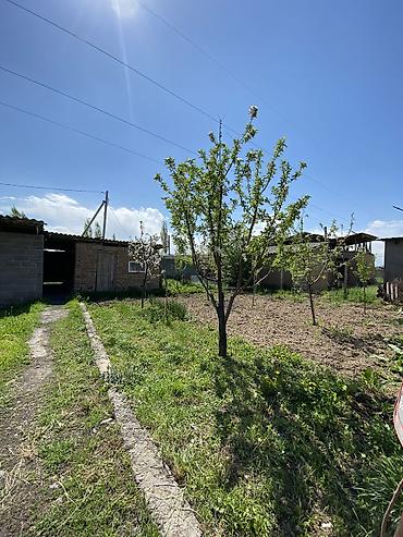 4: 📌В селе Беловодское продаётся дом 50 кв м на участке 5 соток, в доме 4 — 3