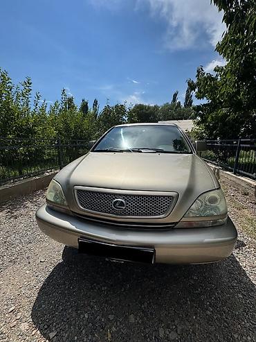 5: Lexus RX: 2002 г., Автомат, Бензин, Кроссовер — 6