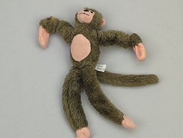 koszulka z małpą: Maskotka Małpka, stan - Dobry