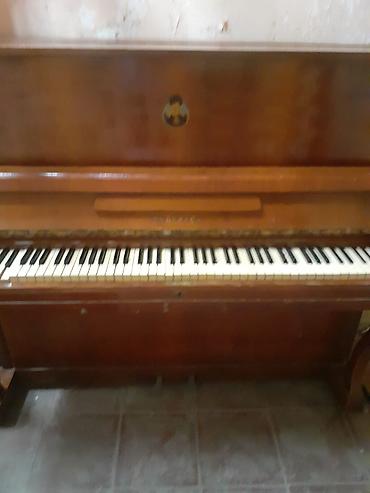 Музыкальные инструменты: Pianino satilir 120 azn — 2