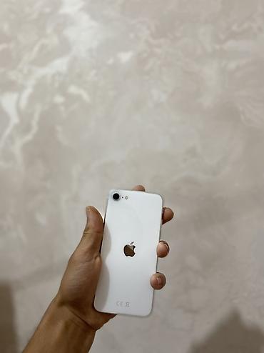 apple iphone 12 mini: IPhone SE ✅ Идеально ✅ 1царапини на угл✅ технически идеал✅ польность — 3
