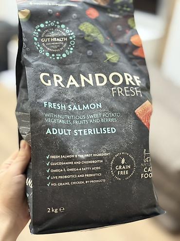 Зоотовары: Продается котик 1 год Привитый, Проглистованный, Кастрированный — 8