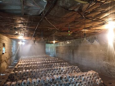 Продажа домов: Дом, 170 м², 6 комнат, Собственник, Косметический ремонт — 21