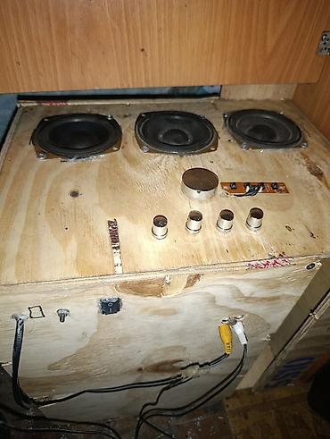 акустические системы pro ject колонка череп: Самодельная домашка сабвуфер, в деревянном корпусе с свето музыкой — 1