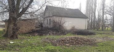 полки в аренду: Жилой дом с приусадебным участком в сельской местности. - Одноэтажный — 5