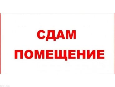 аренда места ош келечек: Сдаю помещение под офис 11 кв.м. Адрес: Молодая Гвардия 62 (пересек