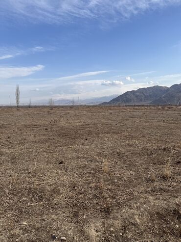 Продажа участков: 600 соток, Для сельского хозяйства, Красная книга, Тех паспорт, Договор купли-продажи — 4