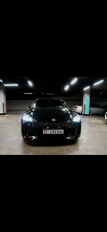 mark х: Kia Stinger: 2019 г., 2 л, Типтроник, Бензин, Лифтбек — 1
