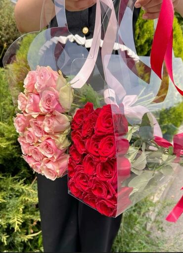 Gübrələr: Qablasdirma daxil guller🤍🌷 12eded - 10 azn 22 eded - 15 azn 32 eded -