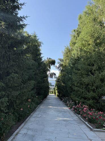 Иссык-Куль 2025: Коттедж, коттедж реклама ЦО Royal beach, Чок-Тал, SPA, Барбекю, Баскетбольная площадка — 16