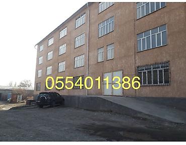 дом и магазин: Здание, 1650 м² — 1